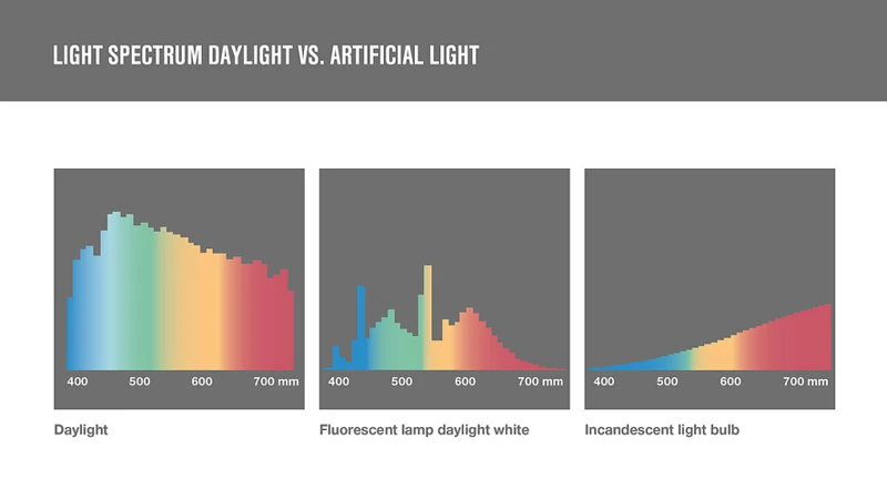 Comparing Natural And Artificial Light Sources