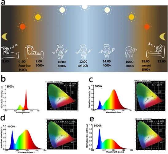 Types Of Lighting 