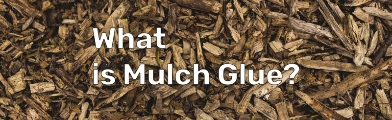 Advantages Of Mulch Glue Over Traditional Mulching