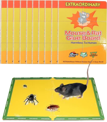 Alternative Methods To Remove Rat Glue