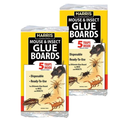 Alternatives To Glue Traps