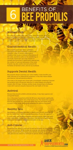 Health Benefits Of Bee Glue