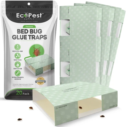 How To Choose The Best Bed Bug Glue Traps