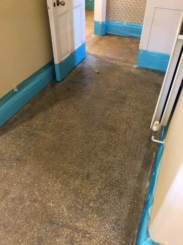 How To Remove Carpet Glue From Terrazzo