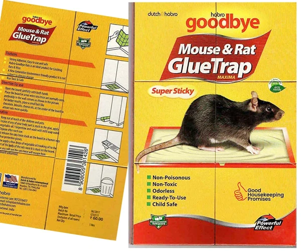 Safety Measures To Take When Using Rat Glue