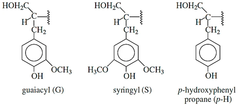 The Chemistry Of Adhesives