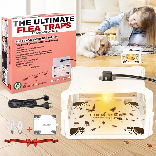 Tip 9: Check And Refill The Trap Regularly