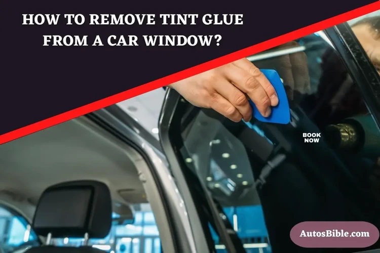 Tools And Materials Needed To Remove Tint Glue