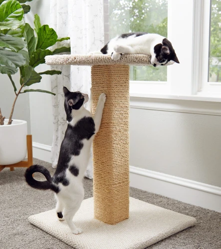 Types Of Glues For Cat Scratching Posts